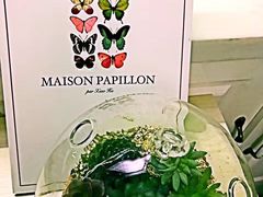 大堂-蝶舍·MAISON PAPILLON