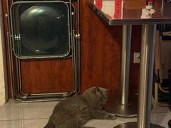 -吹泡·Triphop(棋盘店)