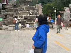 -大岭沟猕猴桃谷风景区