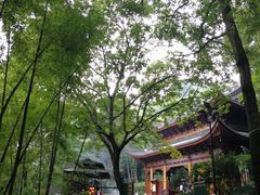 -灵岩山风景区
