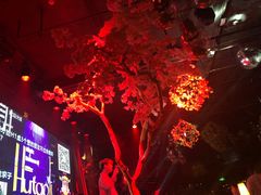 -胡桃里音乐酒馆(下沙店)