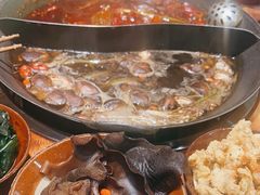 -楠火锅(哈尔滨金爵万象店)