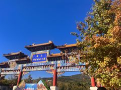 -北京西山国家森林公园