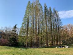 -棒棰岛宾馆景区