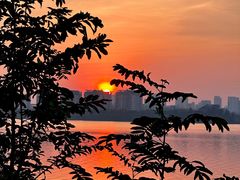 -艾溪湖湿地公园