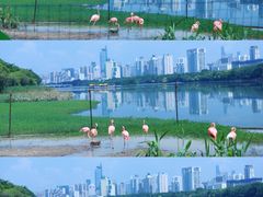 -南宁南湖公园