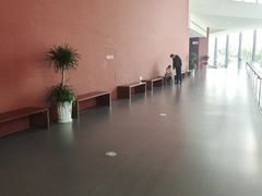 -四川大学博物馆