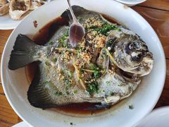 清蒸燕子鱼-蓝湾碧波·老字号·疍家非遗海上餐厅