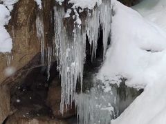 -青峰峡国家森林公园