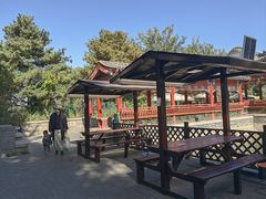 -尚庄度假村·庭台树下·户外烧烤·团建CS·轰趴营地(上庄水库店)