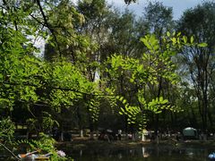 -长白岛森林公园