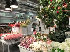 -宜家家居(哈尔滨商场店)