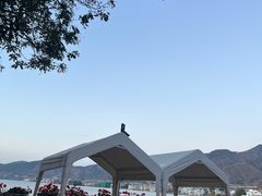 -海韵人家.海景花园经典云南菜(双廊店)