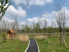 -溱湖国家湿地公园