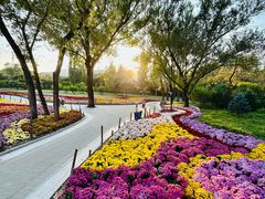 -国家植物园南园