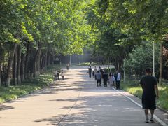 -黄河小浪底水利枢纽风景区