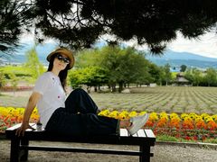 -富田农场