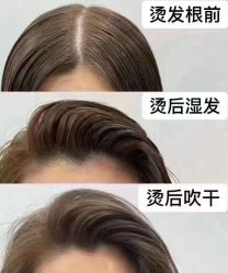 -ODIN 奥丁形象设计 
