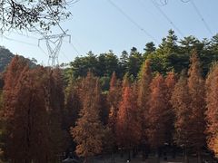 -广州市帽峰山景区