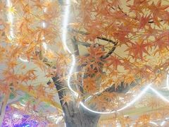 -徐家屯铁锅炖(宋家庄店)
