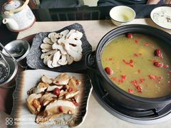 -蘑统田下·野生菌火锅