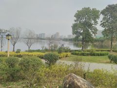 -飞来湖湿地公园