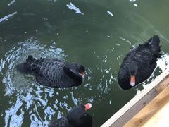 -南宫温泉水世界