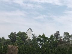 -南沙蒲洲花园