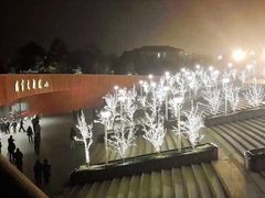门面-国家大剧院