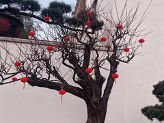 -龙华素斋(龙华路店)