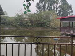 -老杨砂锅鱼庄