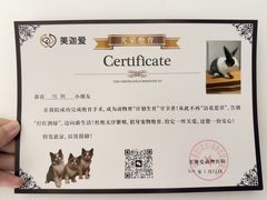 -美迦爱-牙专科·兔科·骨科诊疗中心(北苑店)