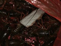 -吃塘·黔贵