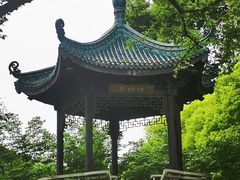 -无锡梅园公园