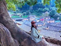 -杨家堂村