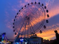 -飞来湖湿地公园