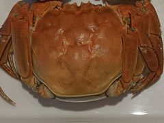 母螃蟹-杨氏青龙虾·羊蝎子(托乐嘉店)