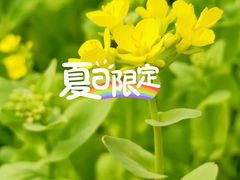 -大自然农场蔬菜草莓采摘园