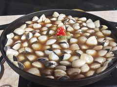 -顺德哥卜卜贝(旗舰店)