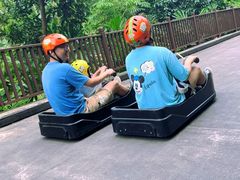 -圣淘沙天际线斜坡滑车
