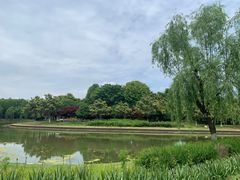 -上海鲜花港
