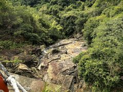 -广州白江湖森林公园