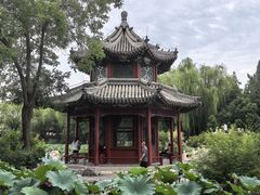 -莲池书院博物馆