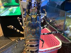 -协成海鲜火锅(海洋花园店)