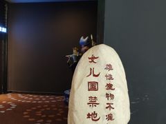 -万达影城(汉街万达广场IMAX店)