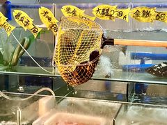 -龚记海鲜20年老字号
