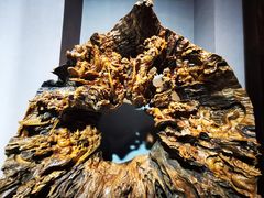 -烟台自然博物馆
