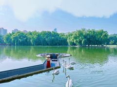 -银树楼(紫玉山庄东区店)