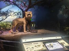 -天津自然博物馆