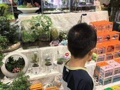 -伊藤洋华堂(温江店)